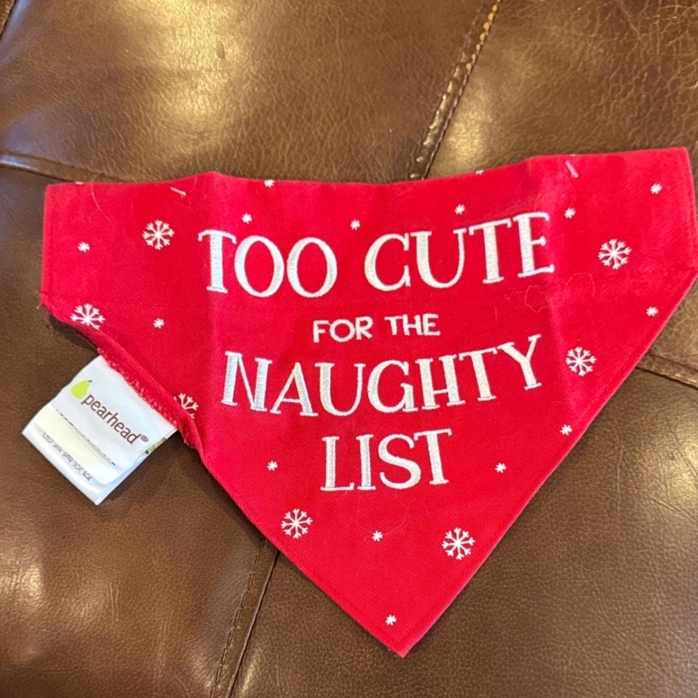 Pearhead Red Festive Dog Pet Bandana New